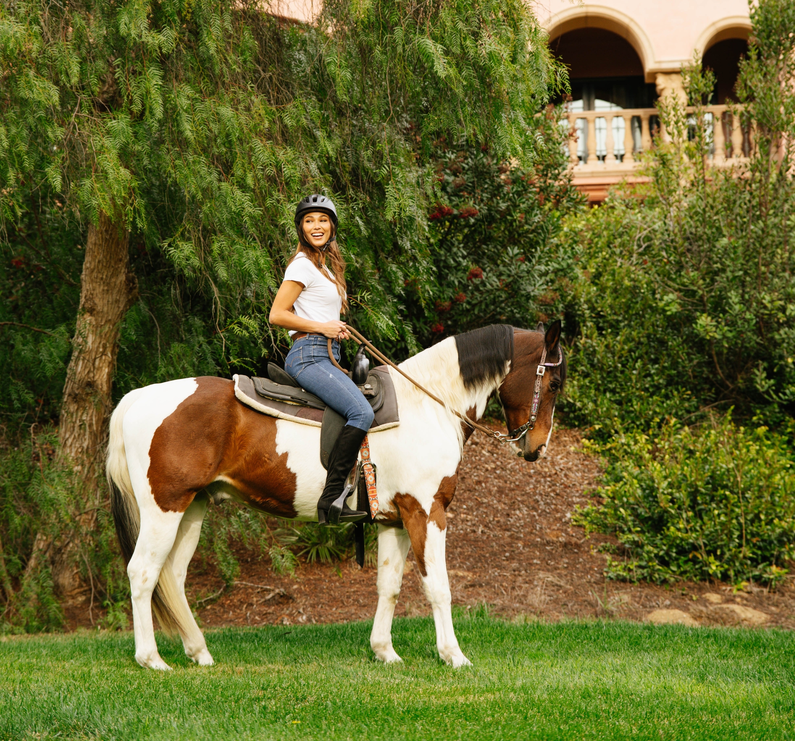 equestrian