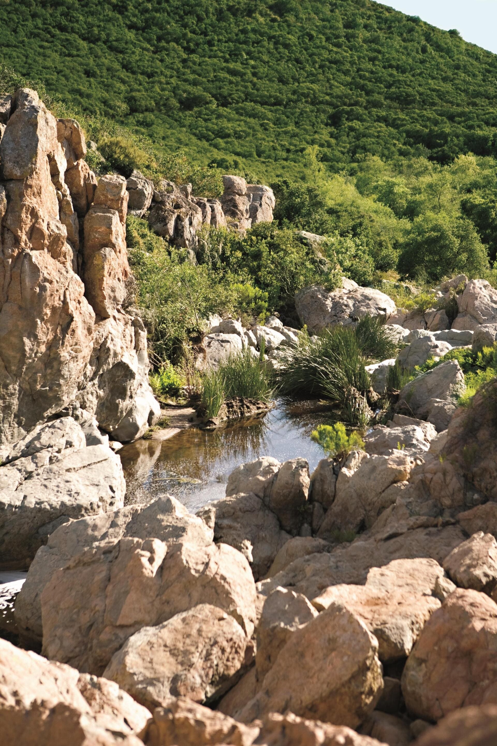 Canyon Creek