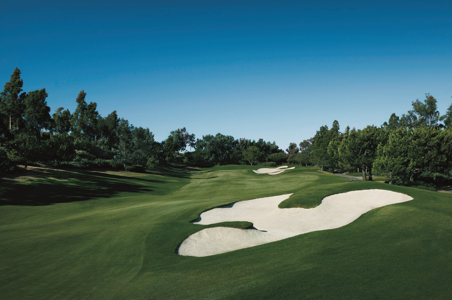 golf course outlined with woods