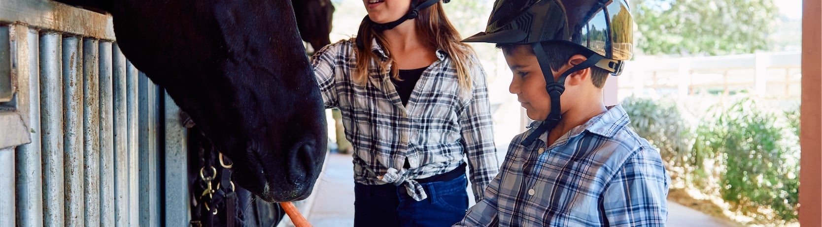 Child feeding horse