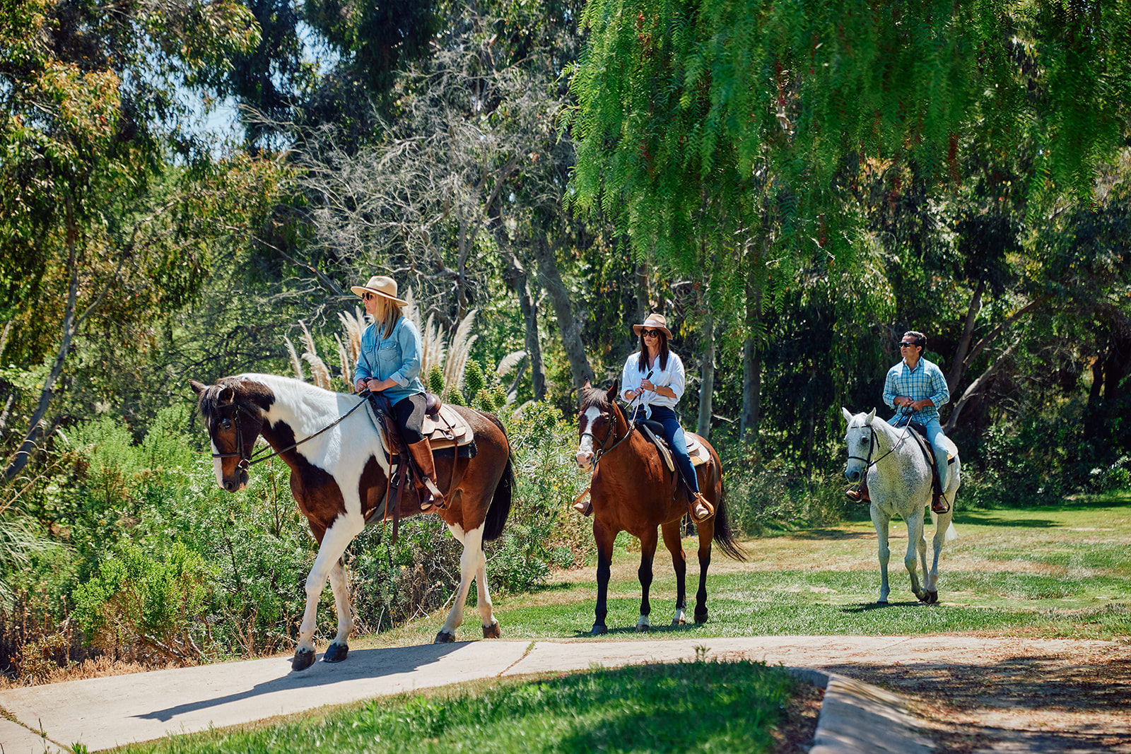 horseback trailride