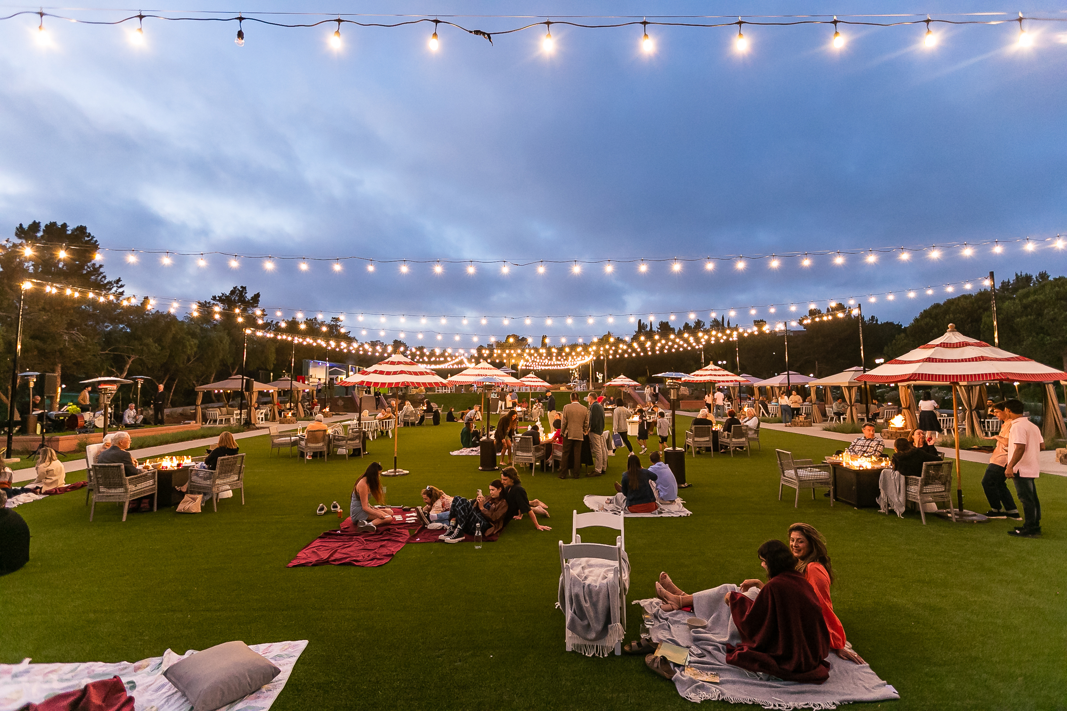 grand social lawn