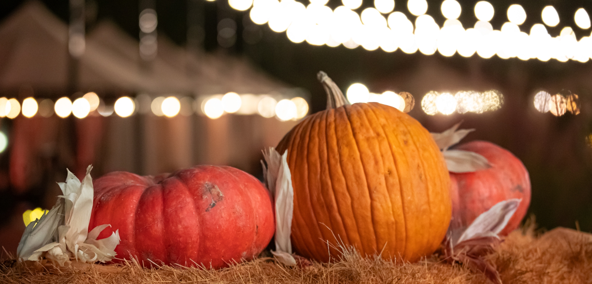 Halloween Spooktacular
