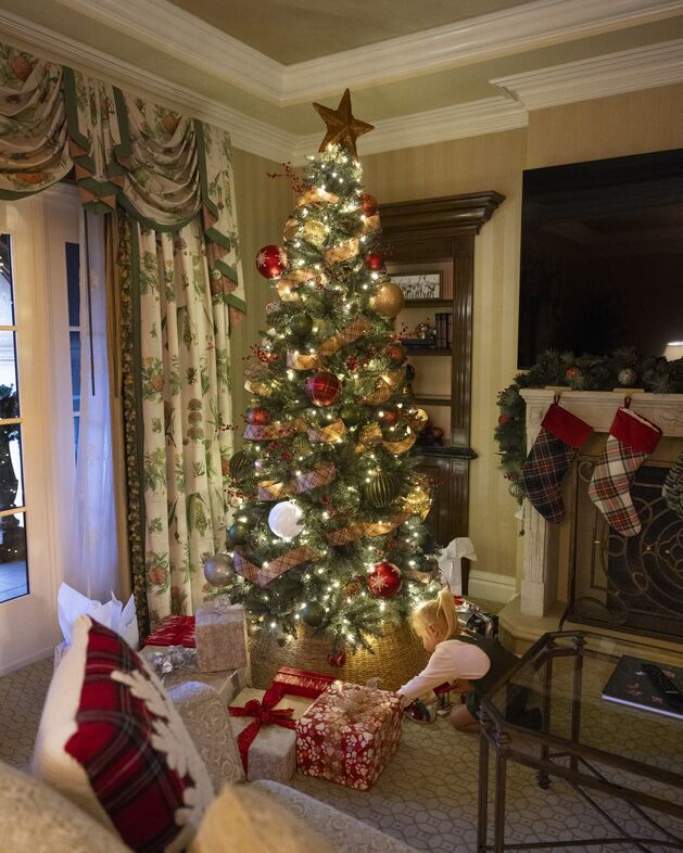 In Room Christmas Tre